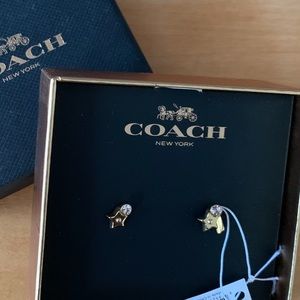 Coach Star and Stone earrings